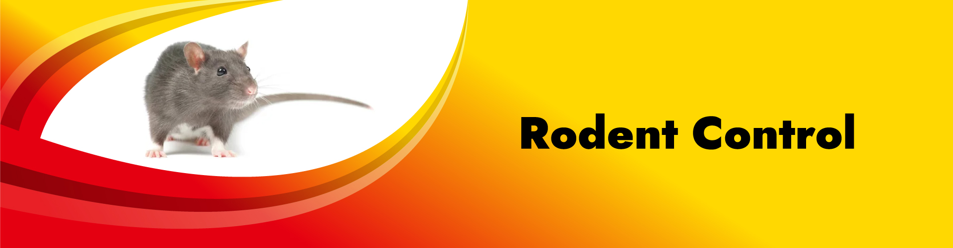 rodent Rodent Control Services